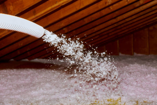 Best Spray Foam Insulation in Circle Pines, MN