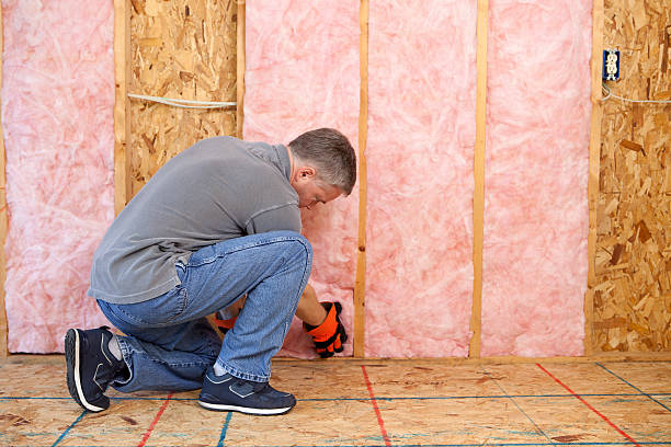 Best Blown-in Insulation in Circle Pines, MN